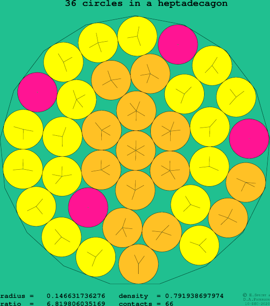 36 circles in a regular heptadecagon