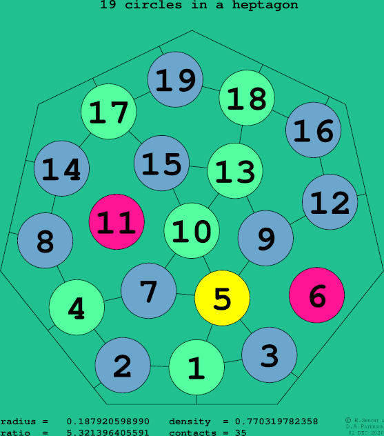 19 circles in a regular heptagon