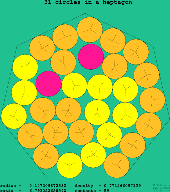 31 circles in a regular heptagon