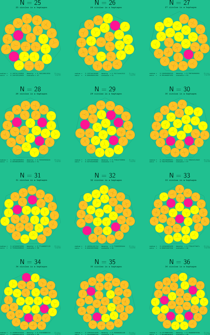 25-36 circles in a regular heptagon
