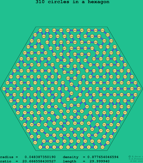 310 circles in a regular hexagon