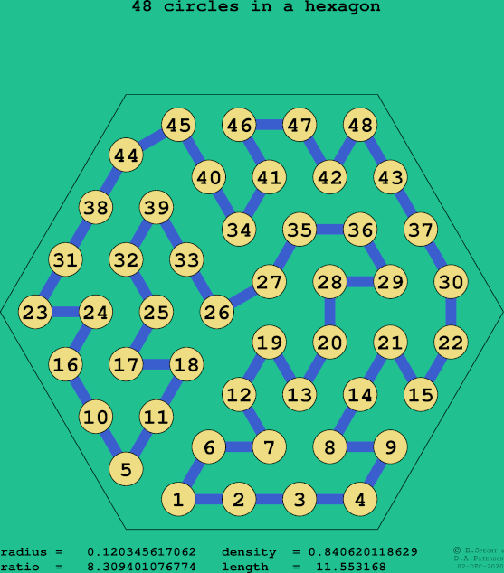 48 circles in a regular hexagon