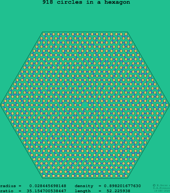 918 circles in a regular hexagon