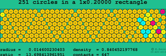 251 circles in a rectangle