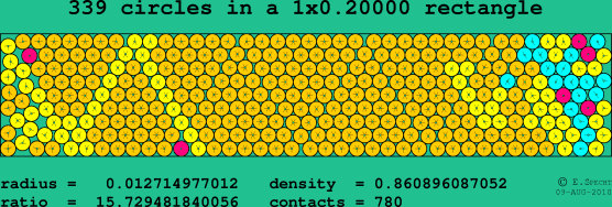 339 circles in a rectangle