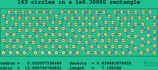 163 circles in a rectangle