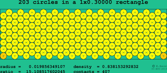 203 circles in a rectangle