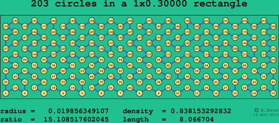 203 circles in a rectangle
