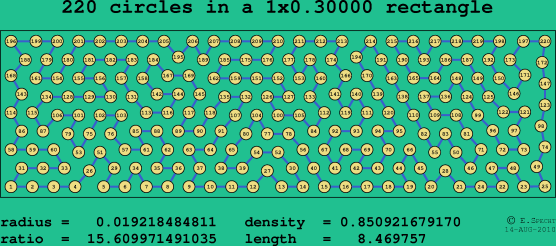 220 circles in a rectangle