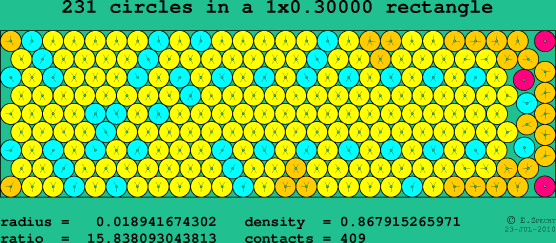 231 circles in a rectangle