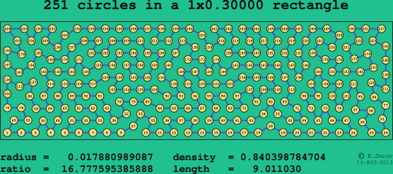 251 circles in a rectangle