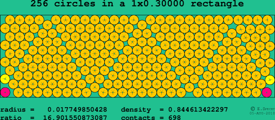 256 circles in a rectangle