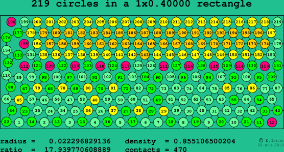 219 circles in a rectangle