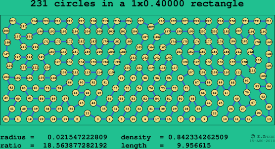 231 circles in a rectangle