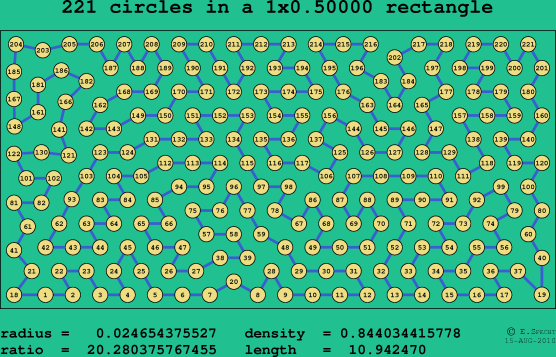 221 circles in a rectangle
