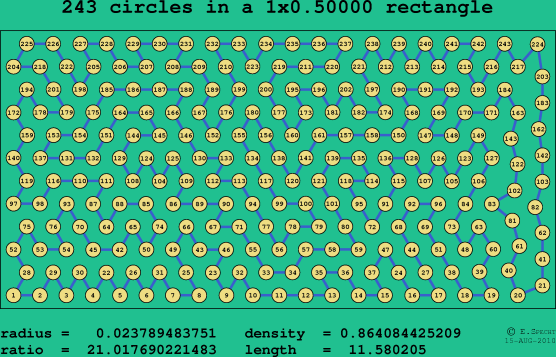 243 circles in a rectangle