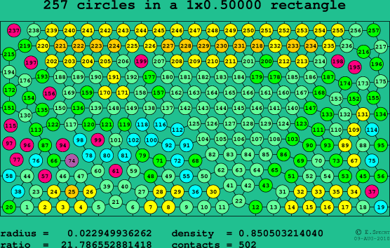 257 circles in a rectangle