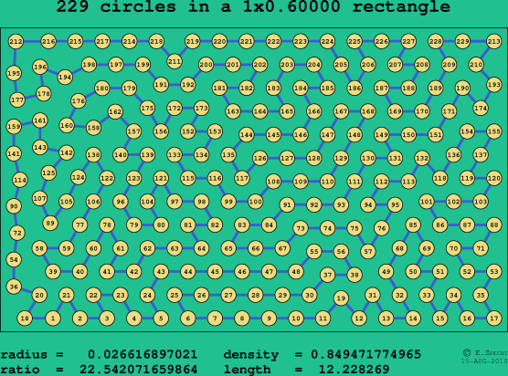 229 circles in a rectangle
