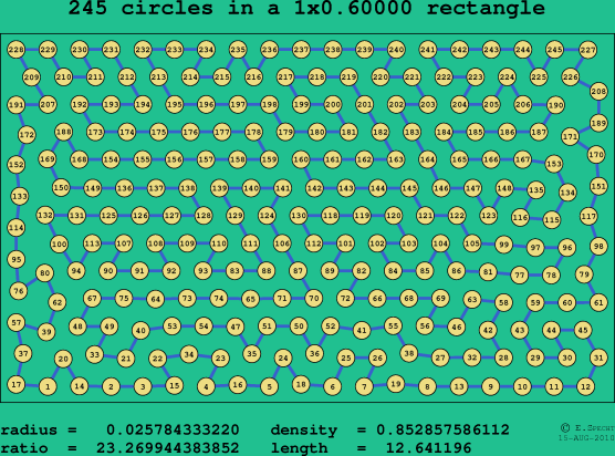 245 circles in a rectangle