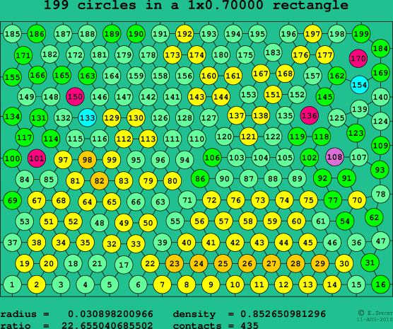 199 circles in a rectangle