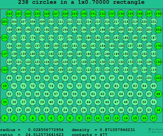 238 circles in a rectangle