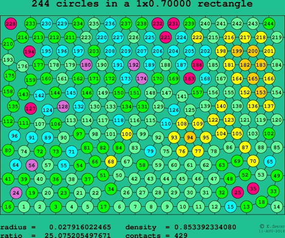 244 circles in a rectangle