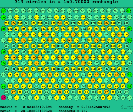 313 circles in a rectangle