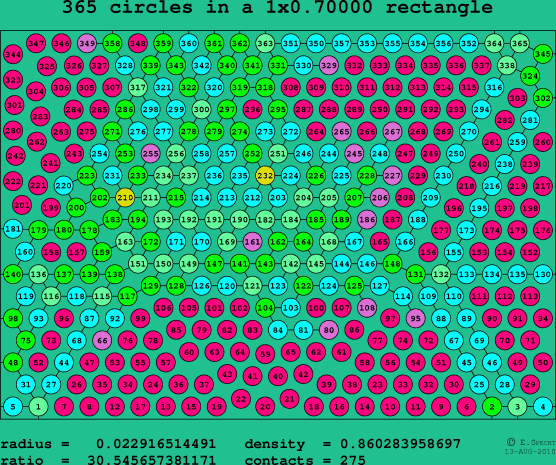 365 circles in a rectangle