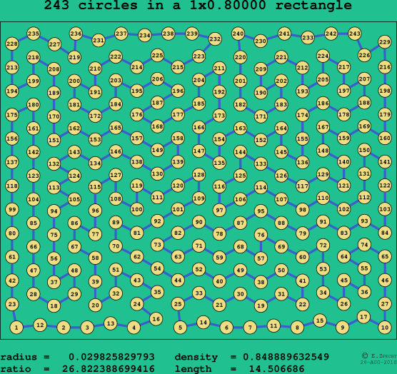 243 circles in a rectangle