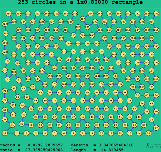 253 circles in a rectangle
