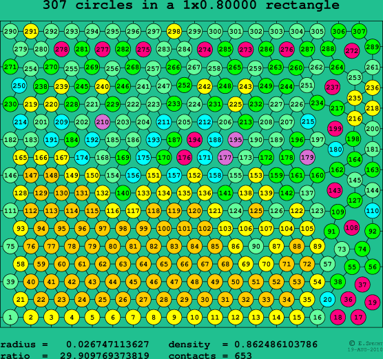 307 circles in a rectangle