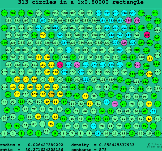 313 circles in a rectangle