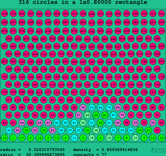 316 circles in a rectangle