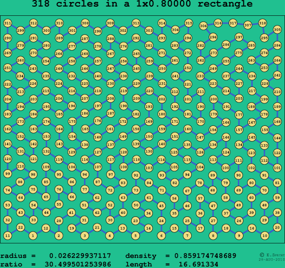 318 circles in a rectangle