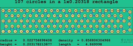 107 circles in a rectangle