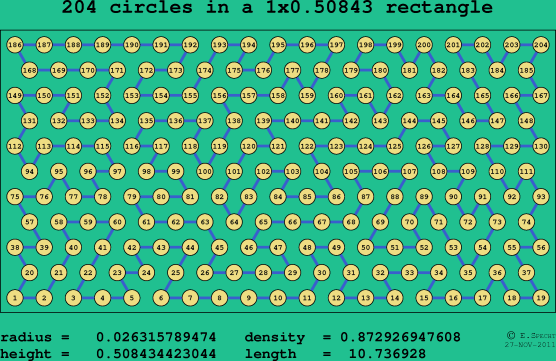 204 circles in a rectangle