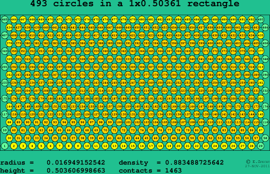 493 circles in a rectangle