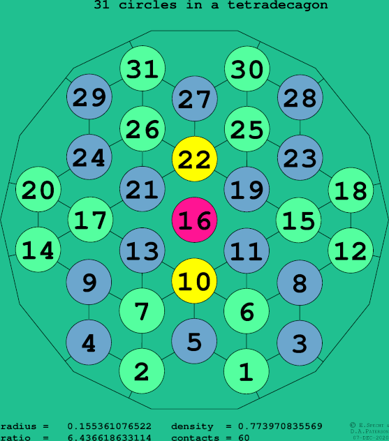 31 circles in a regular tetradecagon