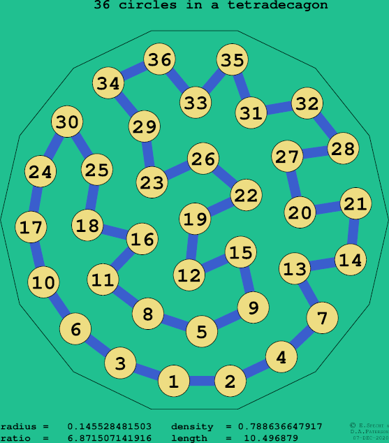36 circles in a regular tetradecagon