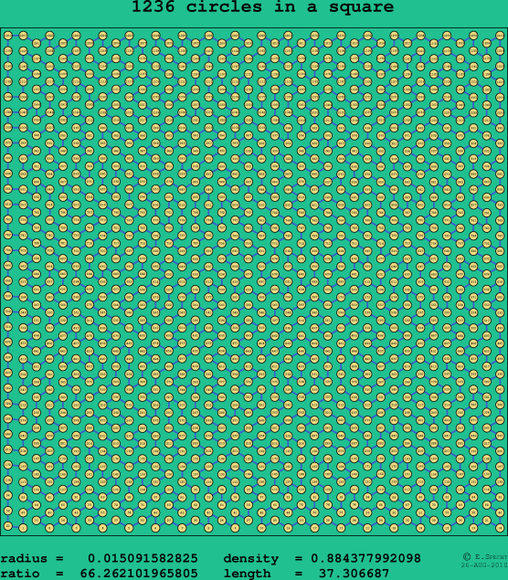 1236 circles in a square