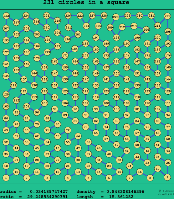 231 circles in a square