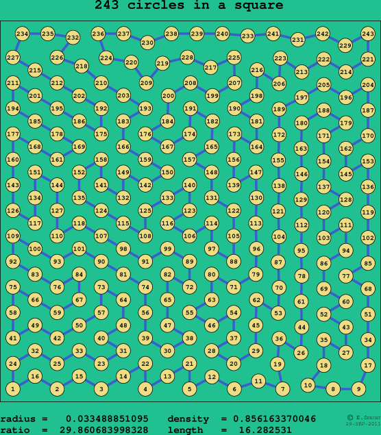 243 circles in a square
