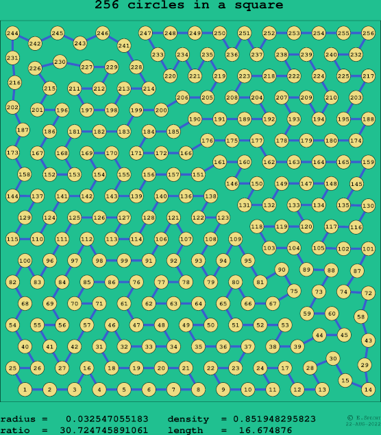256 circles in a square