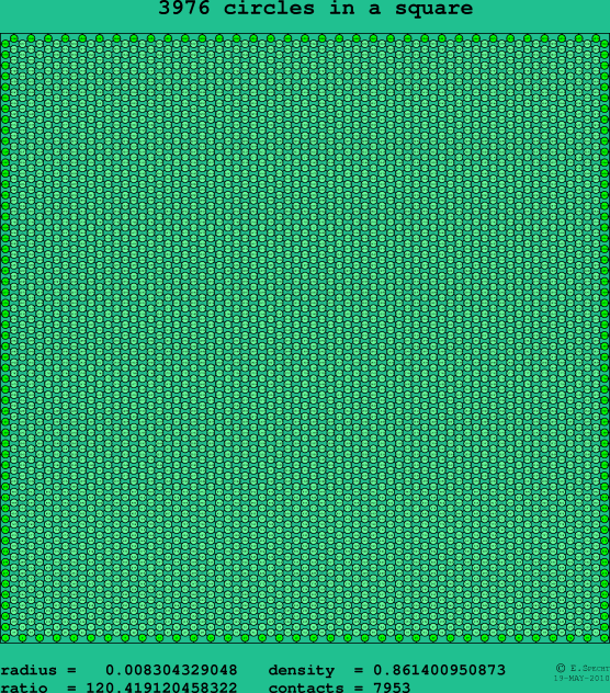 3976 circles in a square