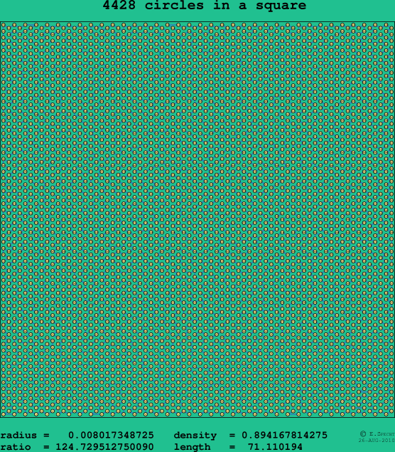 4428 circles in a square