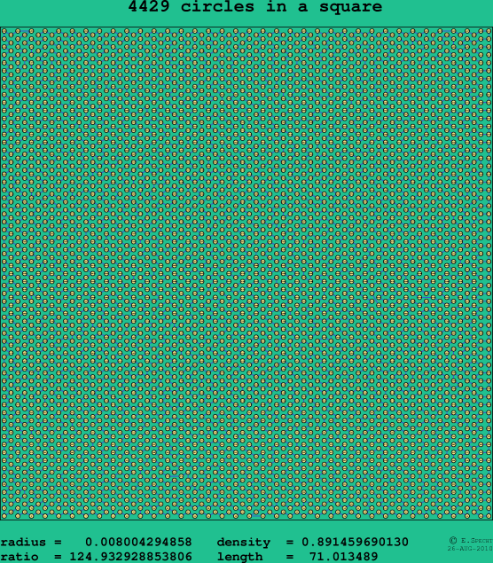 4429 circles in a square