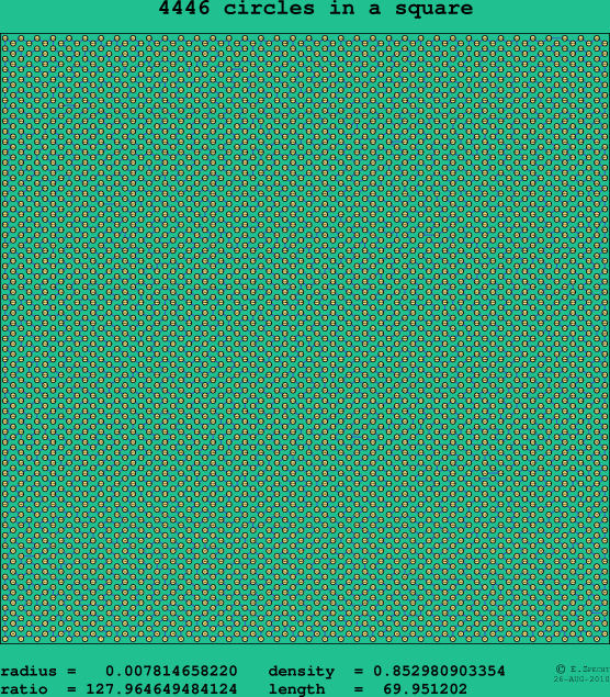 4446 circles in a square