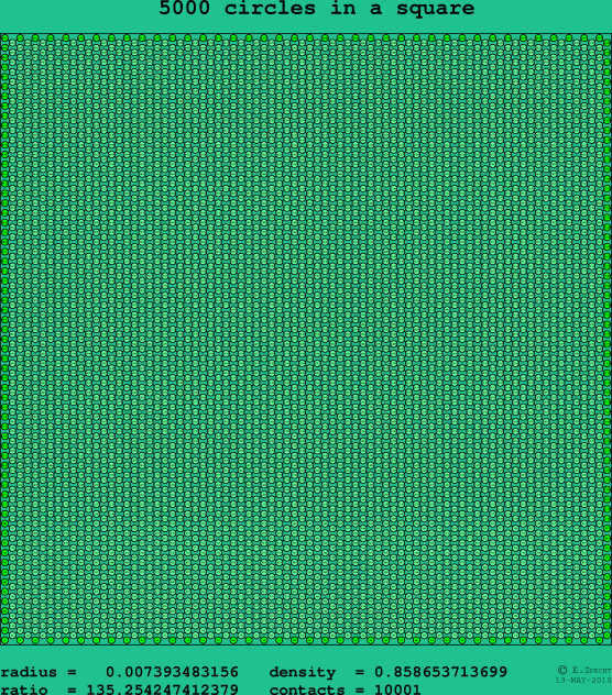 5000 circles in a square