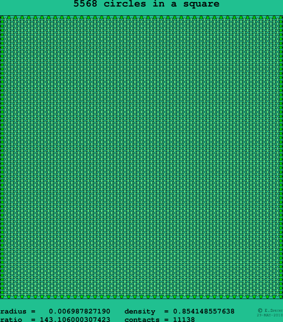 5568 circles in a square