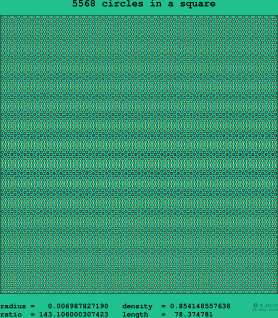 5568 circles in a square